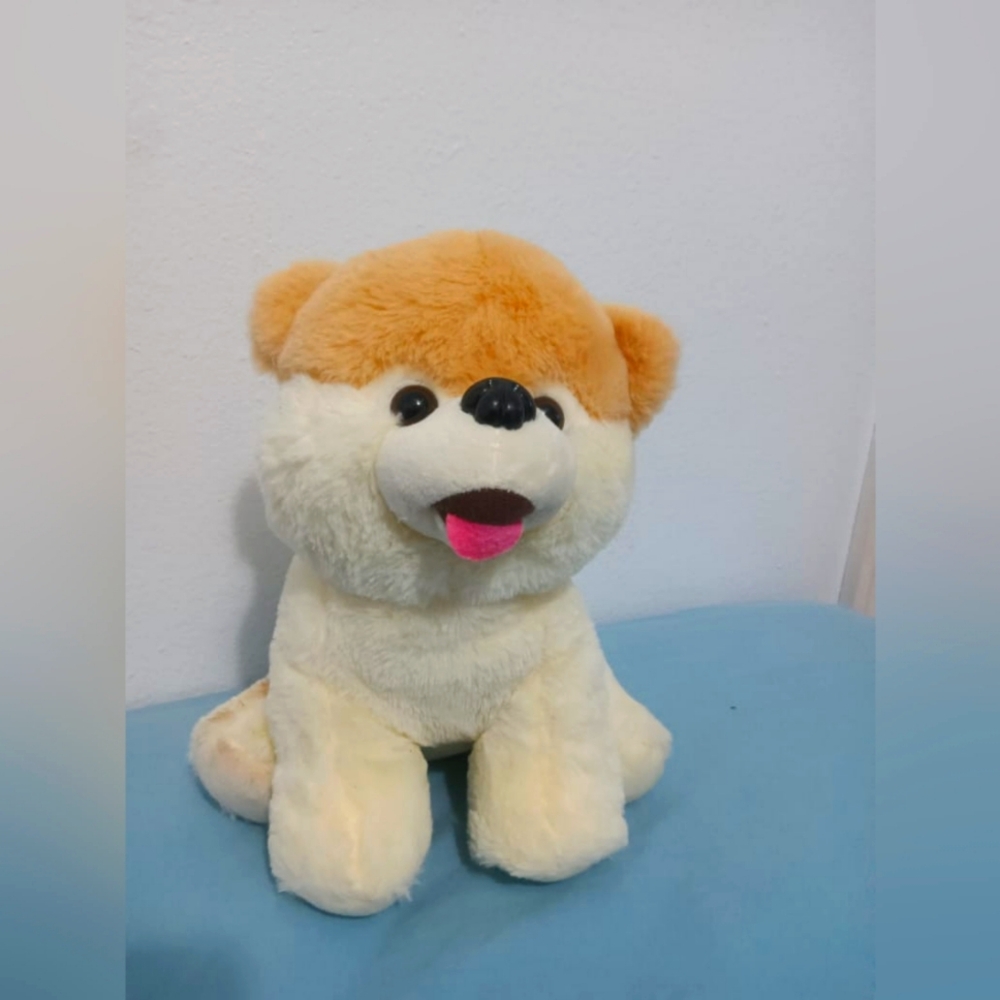 Dog teddy